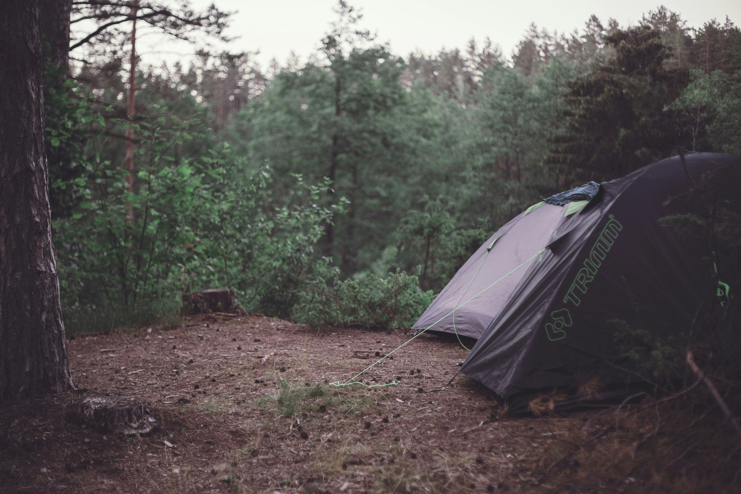 Rainy Day Camping Adventure Stayed Dry Thanks to Packing Bags