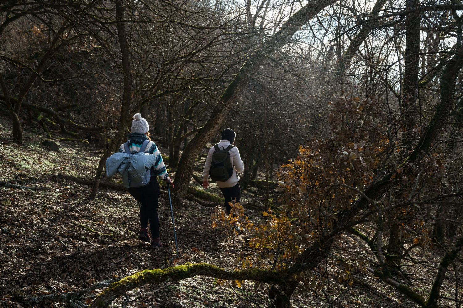 A Group Hiking Trip Became Easier When Everyone Used Travel Compression Bags