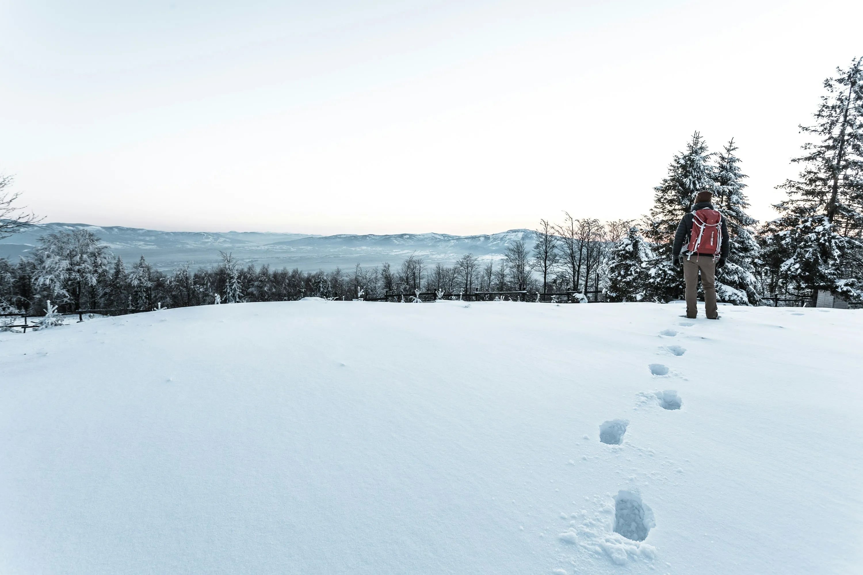 From Bulky Coats to Souvenirs: How a Compression Suitcase Handled My Winter Trip